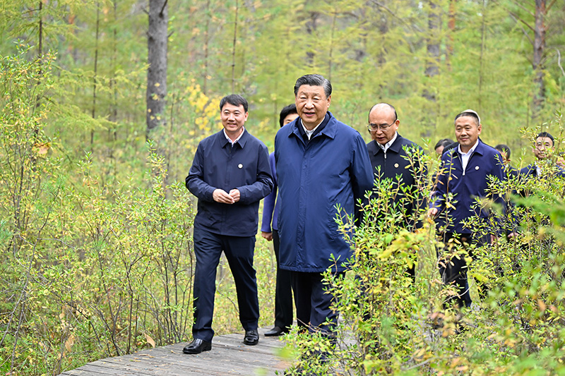 9月6日至8日，中共中央總書記、國家主席、中央軍委主席習(xí)近平在黑龍江考察。這是6日下午，習(xí)近平在大興安嶺地區(qū)漠河市漠河林場自然林區(qū)考察